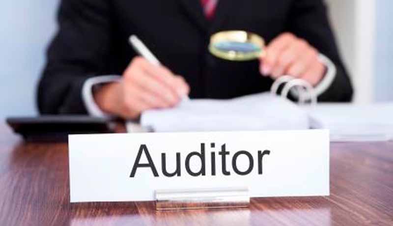 Role of the Auditors to Protect the Audit Interest