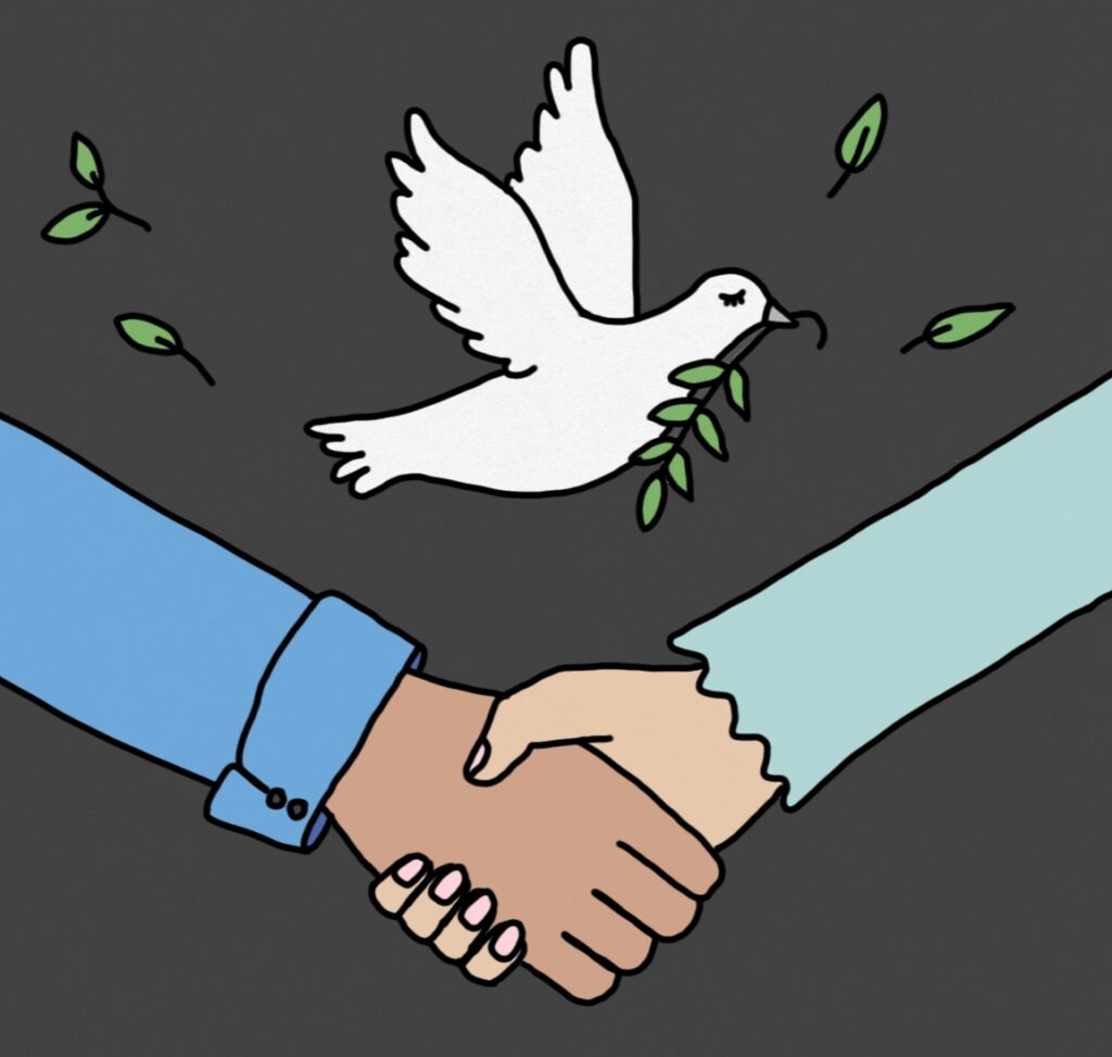 Lessons from New Zealand and Norway